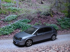 Signum A1 Bild 2a
Hersteller: Schuco (17990xx)
lichtsilber Auflage ??? Mitte 2003, Opel-Werbemodell